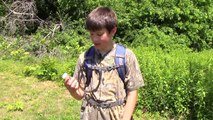 Hartford Biodiversity Camp: Studying Butterflies, Dragonflies and Insects