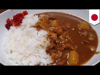 カレーに入れる肉は豚？牛？東西で地域差くっきり