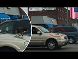 Szokujące zdjęcia: kot przywiązany do maski samochodu podczas jazdy