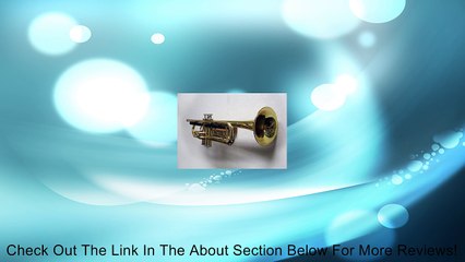 Standard Trumpet & Cornet Hanger Domestic Red Oak Review