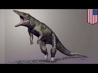 «Каролинский мясник» - крокодил на задних лапах из Северной Каролины триасового периода