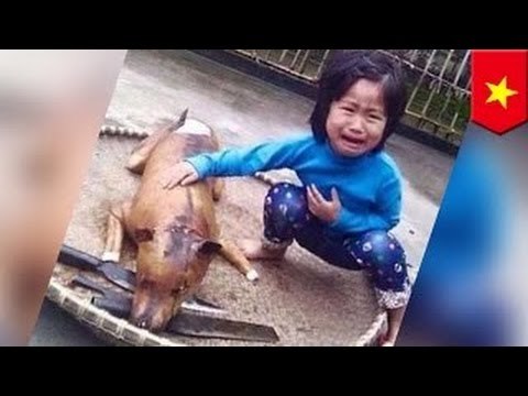 5-летняя девочка нашла свою собаку на рынке собачьего мяса