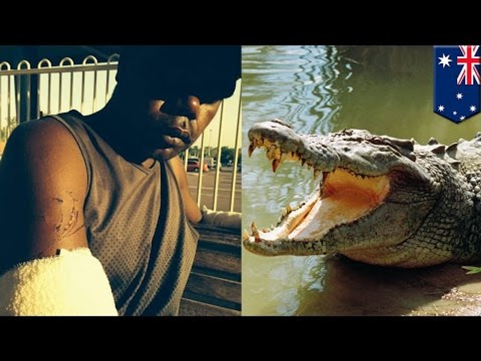 Betrunkener Australier sticht Krokodil in die Augen