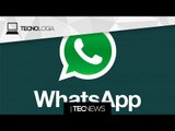 WhatsApp lança nova função! / Apple vai lançar seu próprio carro | TecNews