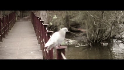 PARC NATUREL PÂTIS (prod.by MooBoo)