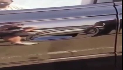 A Spider Hiding in a Car Door Handle