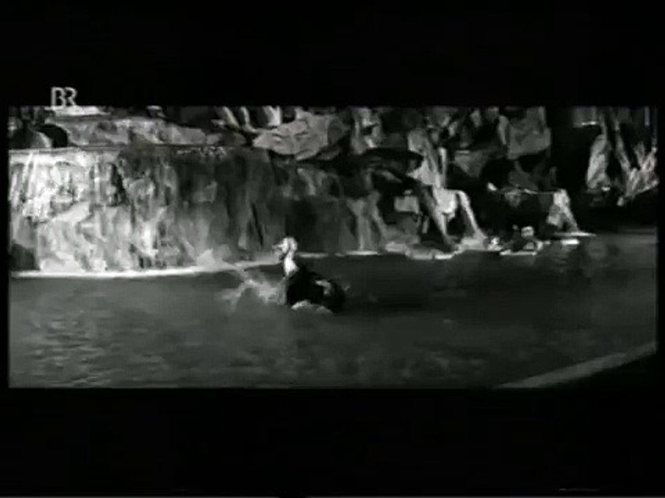 Anita Ekberg & Marcello Mastroianni - Dolce Vita