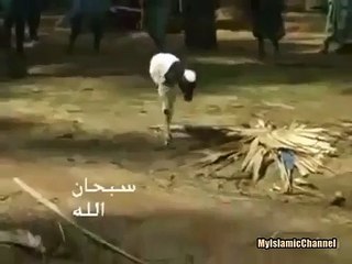 Two Legged Goat Amazed Video