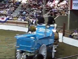 Draft horse hitches at the New York State Fair.