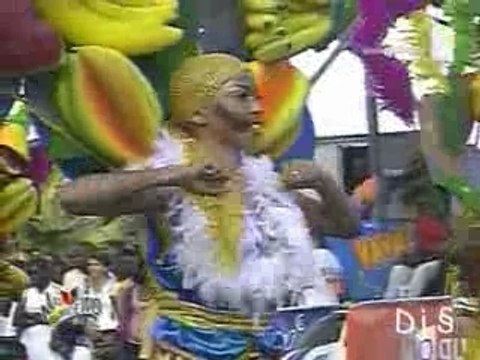 Carnaval en Guadeloupe 2007 (2/3)