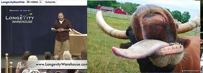Daniel Vitalis on raw milk myths꞉ Durianrider response.