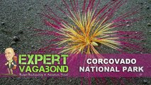 CORCOVADO NATIONAL PARK - Hiking Costa Rica