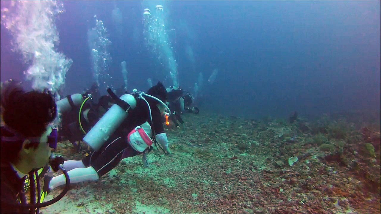 Thresher Shark Video, Malapascua, Philippines