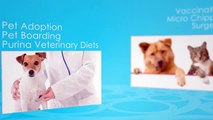 Emergency Vet Clinic and Pet Adoption Services in MO