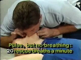 American Heart Association Child Rescue CPR 2