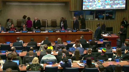 Youth Shows Commitment to Development Issues at Annual ECOSOC Youth Forum