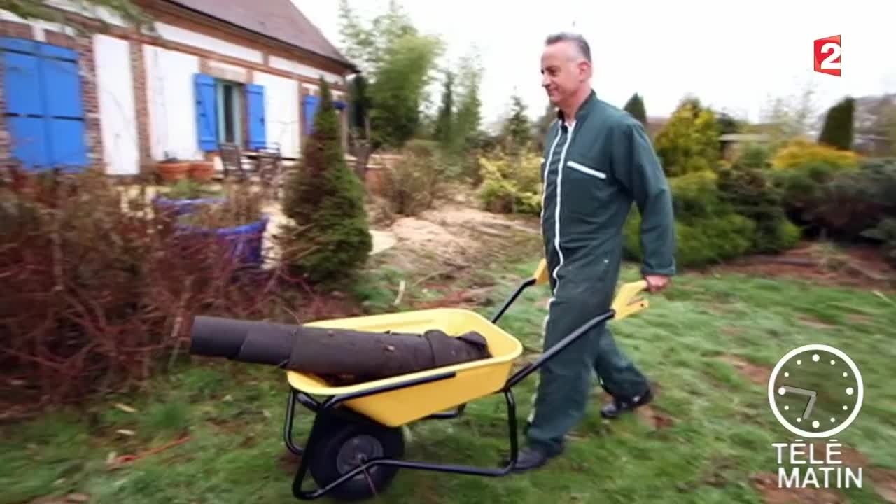 Jardin - Une brouette de plantes chez soi