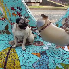 Best friends know how weird you are, but still choose to be seen with you in public -Doug