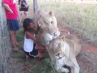 Delightful Juhi Agrawal kisses with lions