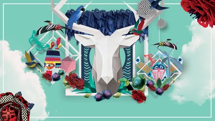 FESTIVAL Terres du Son 2015 - Teaser programmation complète