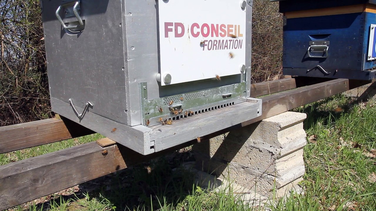 Ruche FDCONSEIL : Printemps 2015