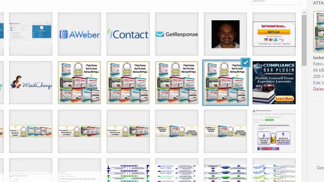 WP Shes Viral PRO Review – $300000 Bonus & Discount