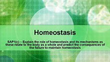Homeostasis