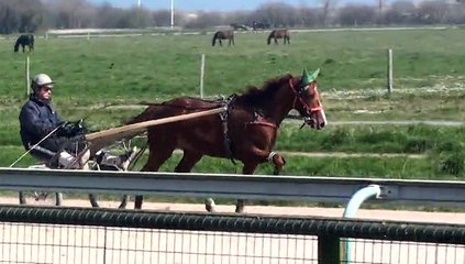 danseuse de kacy sur la piste de ste marie