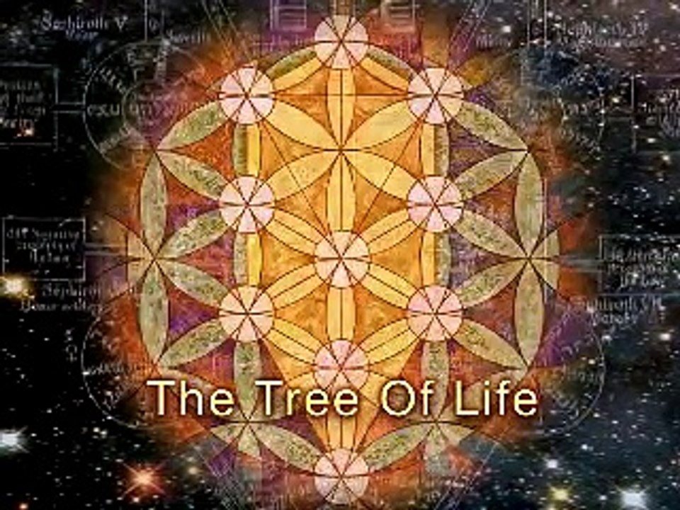 Sacred Geometry 101D: Concentric Circles