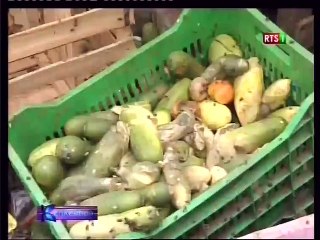 Journée mondiale de la santé : zoom sur la sécurité alimentaire