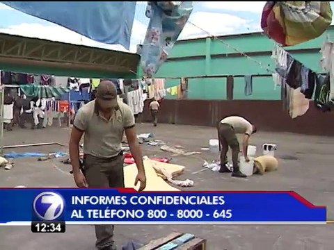 Receta: Rollos de arroz y pollo