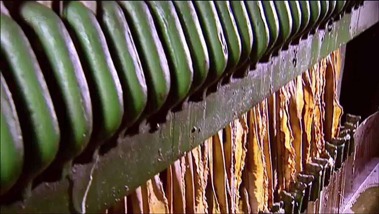 Noix de coco - Xenius