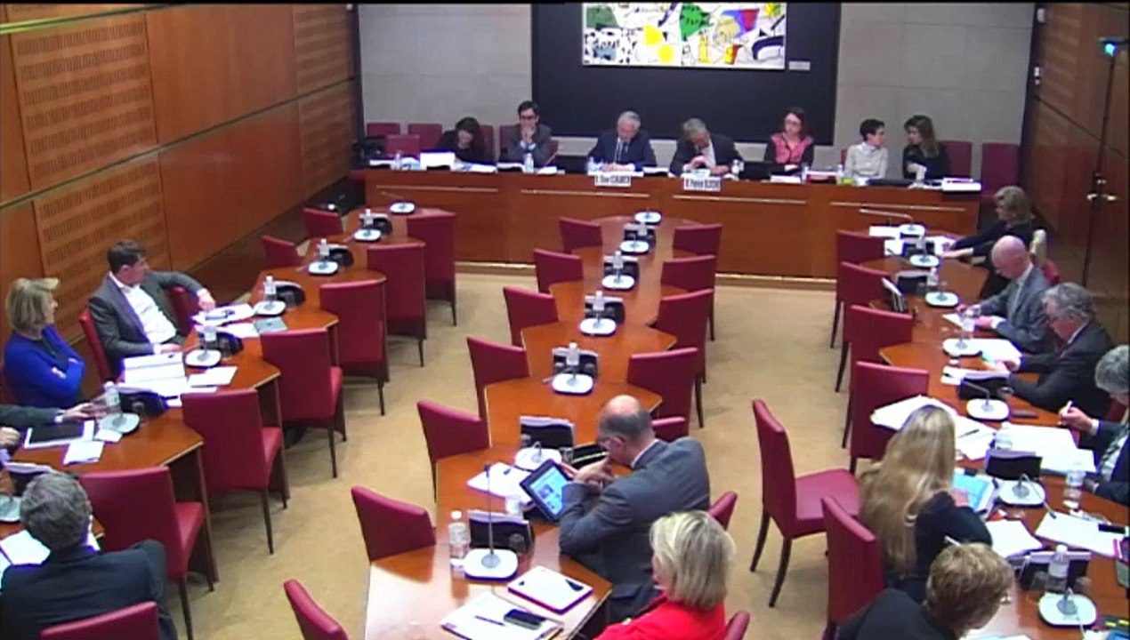 Intervention d'Hervé Féron en Commission : audition d'Olivier Schrameck, Président du Conseil Supérieur de l'Audiovisuel