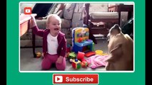 Babies Laughing at Funny Pets - Komik Hayvanlara Gülen Bebekler 2014