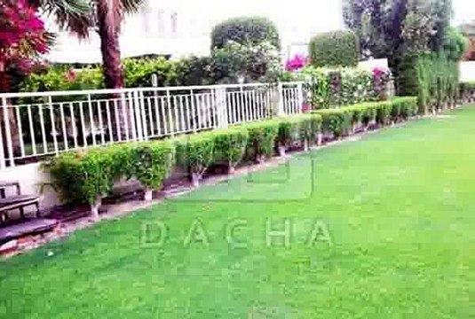 Perfect family home type 3E villa in springs 1 upgraded and extended Call Chaz immediately to view 971 507511523