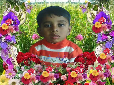 Muhammad Ans Rizwan - studying in Pakistan Knowledge House Dinga