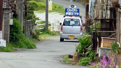 LOUD Japanese Politicians!
