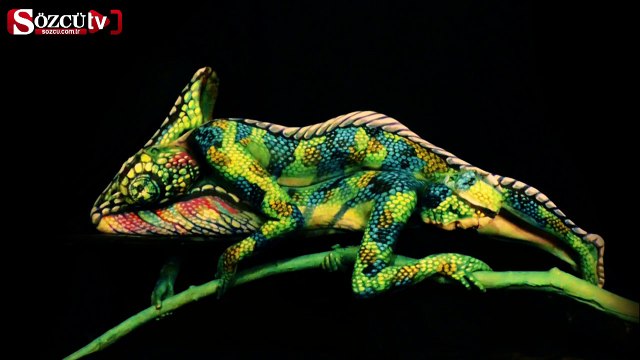 Bu bir bukalemun değil!