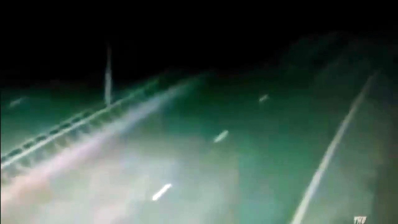 strange creature cross the road