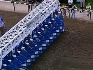 Point Given - 2001 Belmont Stakes