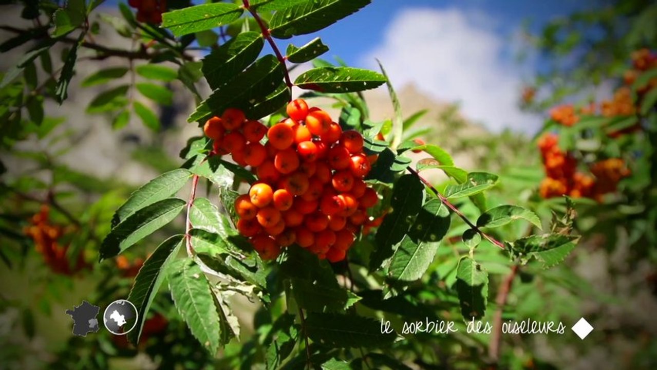 Balades en Rhône-Alpes: Isère