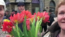 TULIPANY DLA  MARII