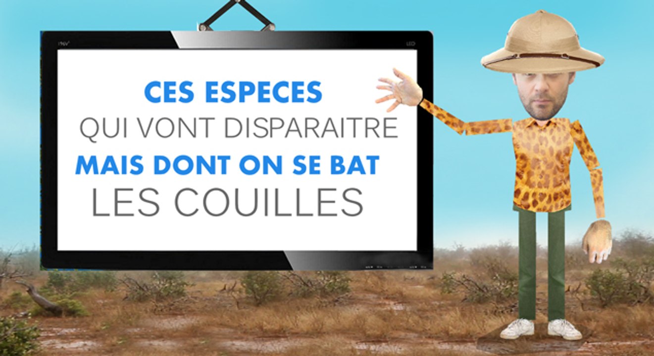 Ces espèces qui vont disparaitre mais dont on se bat les couilles - DAF TALK