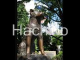 Wierny pies Hachiko-Historia życia Hachiko