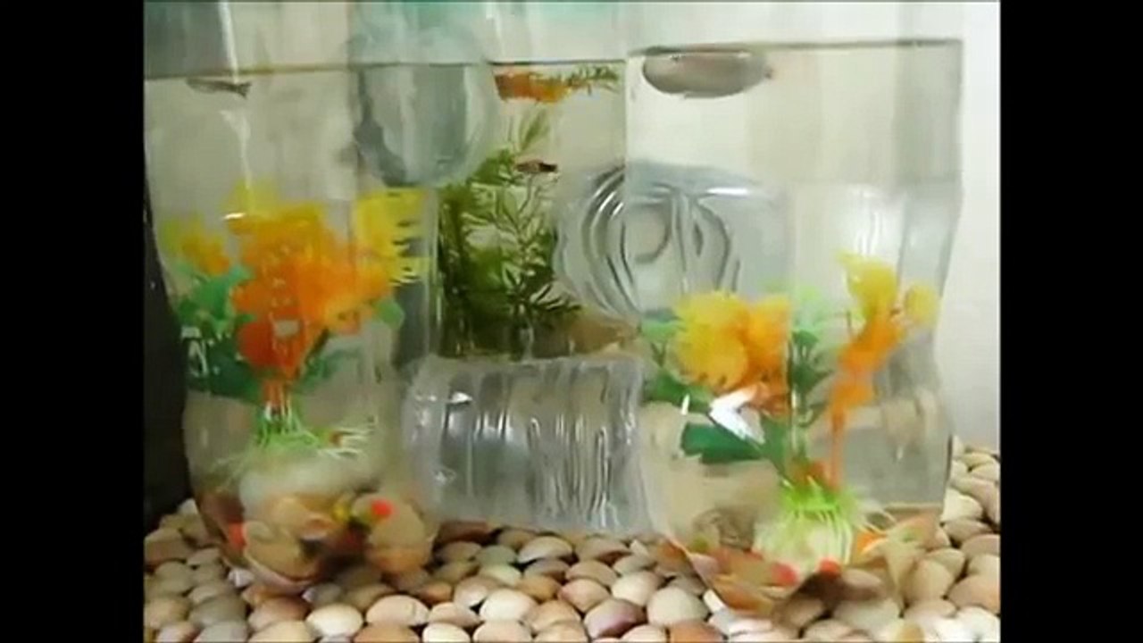 Aquário feito com garrafas pet