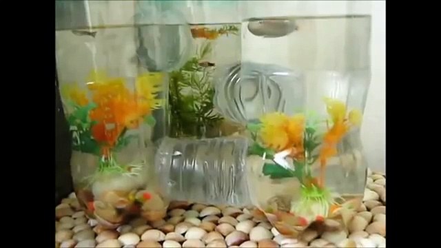 Aquário feito com garrafas pet