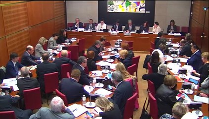 Intervention d'Hervé Féron en Commission : audition de Mathieu Gallet, Président Directeur Général de Radio France