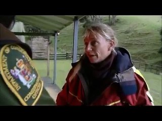 Orca stranding rescue - rakey