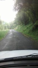 Route barrée pour cause de combat de brocards