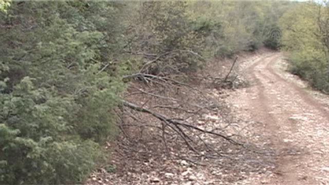 Taş Ocağı İçin Ağaçların Kesildiği İddiası